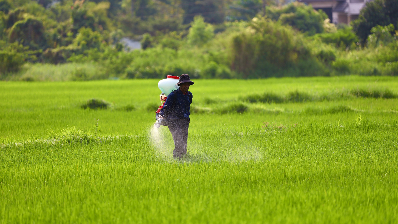 Monoethanolamine వ్యవసాయ రసాయనాలలో దేనికి ఉపయోగిస్తారు?